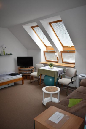 Отель Apartment Bertík  Требон